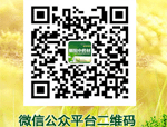 3分钟了解公司