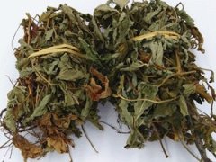 朝阳百康中药材仙鹤草
